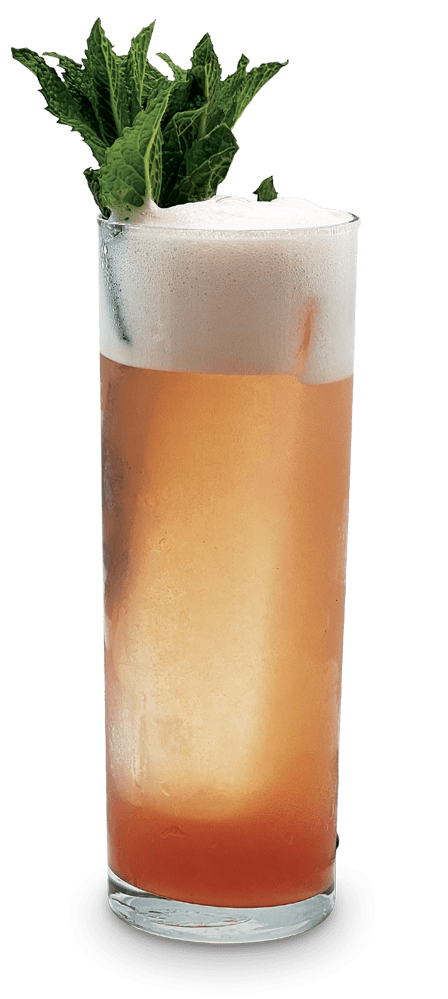 Bouquet-de-Fraicheur-Cocktails-Mocktails-Drinks-Recettes-Mixologie-Bar-Boissons-Sirops-COQ-TAIL-Cerise-Sures-Sour-Cherries